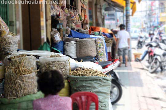 Phố thuốc Bắc ở Sài Gòn