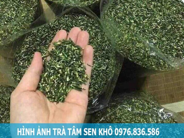 Hình ảnh tâm sen khô