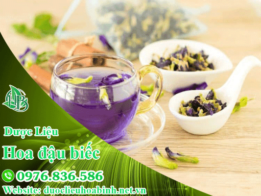 Trà hoa đậu biếc