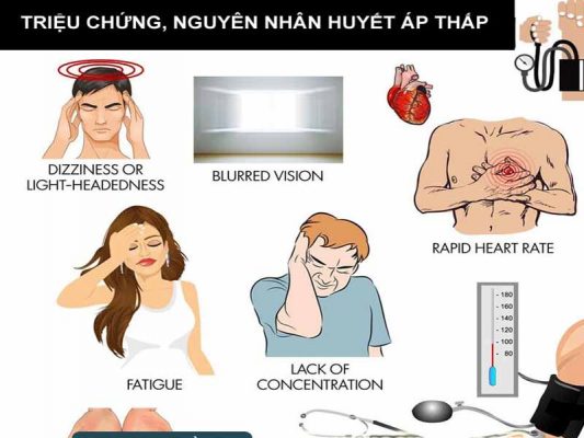 Sâm đương quy trị huyết áp thấp