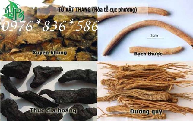 Sâm đương quy trị huyết áo thấp