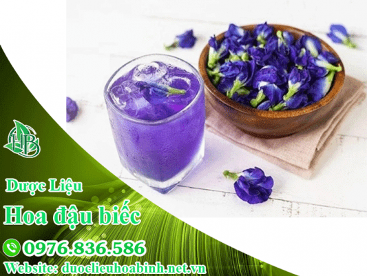 Hoa đậu biếc và một số hình ảnh về hoa đậu biếc