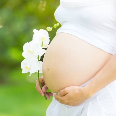 Phụ nữ mang thai có nên sử dụng hoa đậu biếc không?