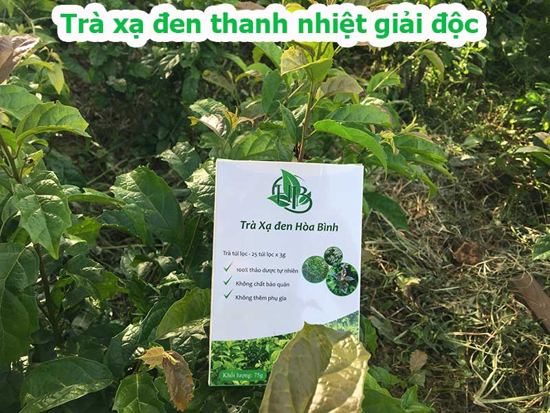 Trà túi lọc xạ đen – thanh nhiệt giải độc cơ thể 2