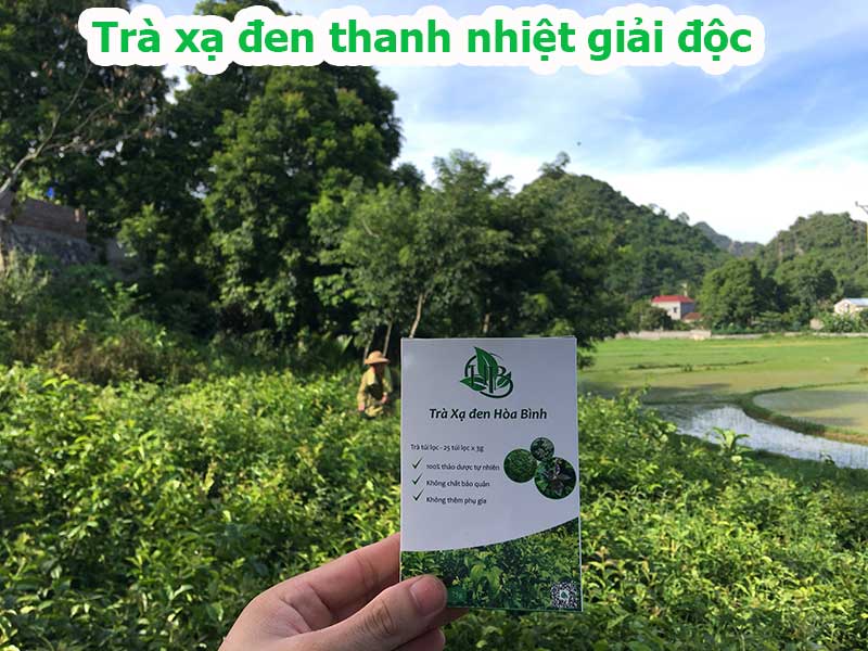 Trà túi lọc xạ đen – thanh nhiệt giải độc cơ thể 3