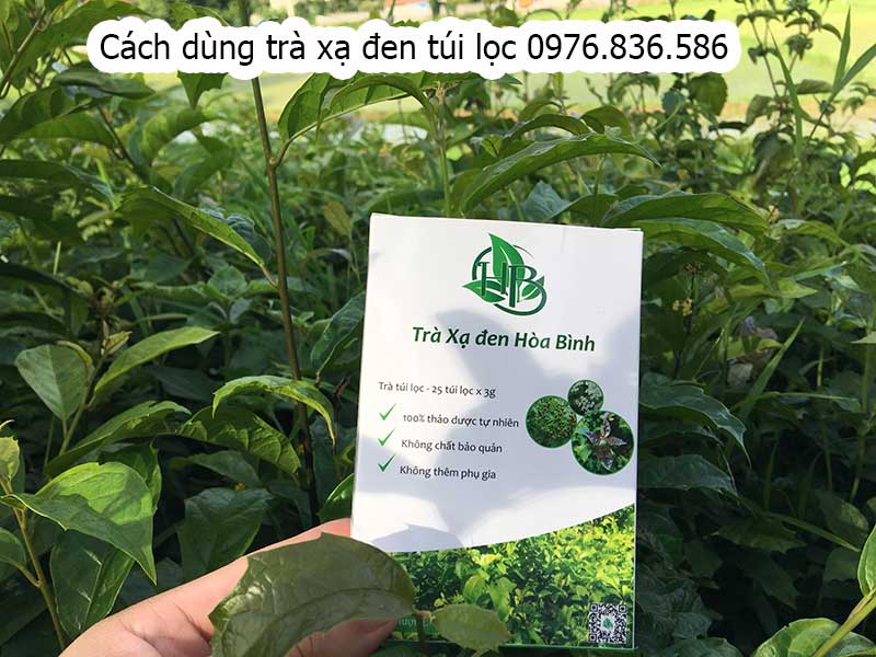 Trà túi lọc xạ đen hỗ trợ chữa máu nhiễm mỡ