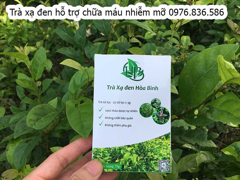 Trà túi lọc xạ đen hỗ trợ chữa máu nhiễm mỡ 3