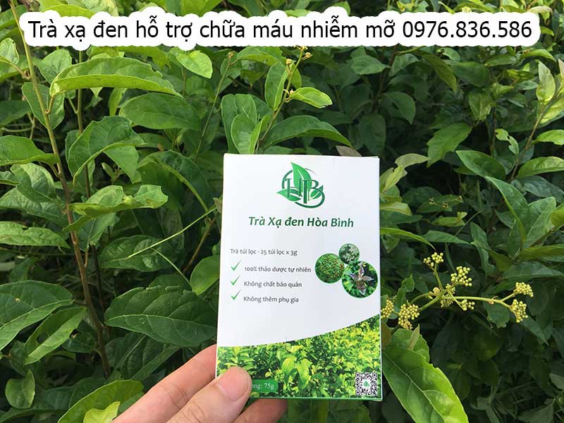 Trà túi lọc xạ đen hỗ trợ chữa máu nhiễm mỡ 1