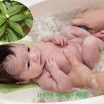 Cách dùng cỏ nhọ nồi(cỏ mực) tắm cho trẻ em tại nhà