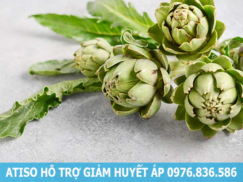 cây atiso hỗ trợ giảm huyết áp