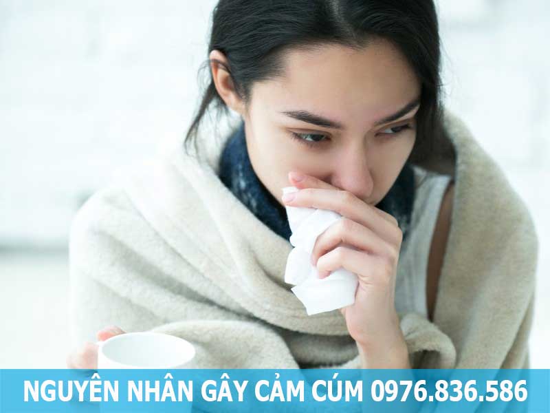 nguyên nhân gây cảm cúm