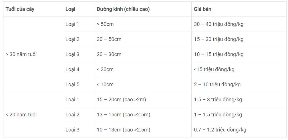 Bảng Giá bán cây gỗ sưa