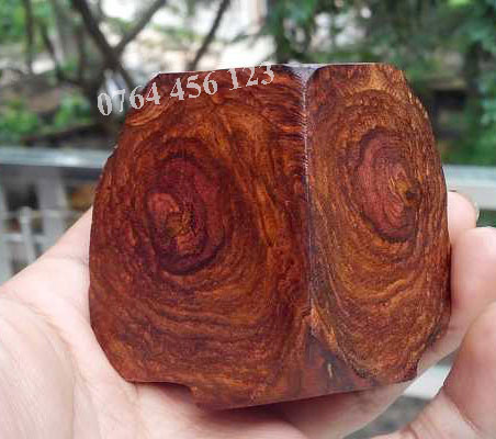 gỗ sưa đỏ có vân gỗ ở cả bốn mặt, nổi lên thành từng lớp với thớ gỗ nhỏ, mịn, có màu hồng hoặc đỏ sẫm