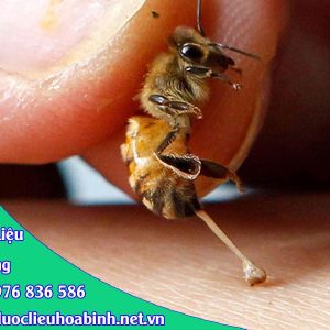 tác dụng nọc ong