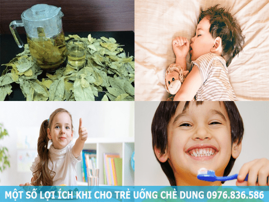 Một số lợi ích khi cho trẻ uống chè Dung