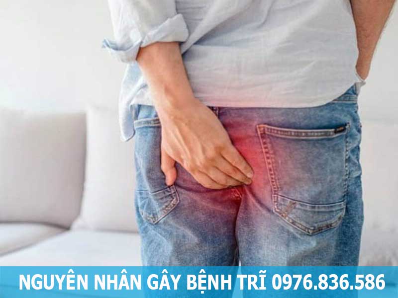 nguyên nhân gây nên bệnh trĩ