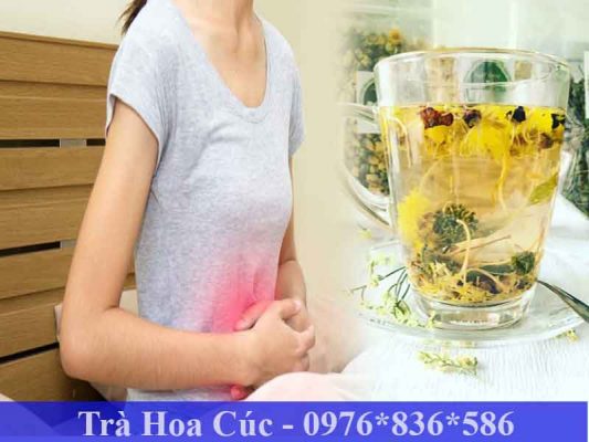 trà hoa cúc trị trào ngược dạ dày