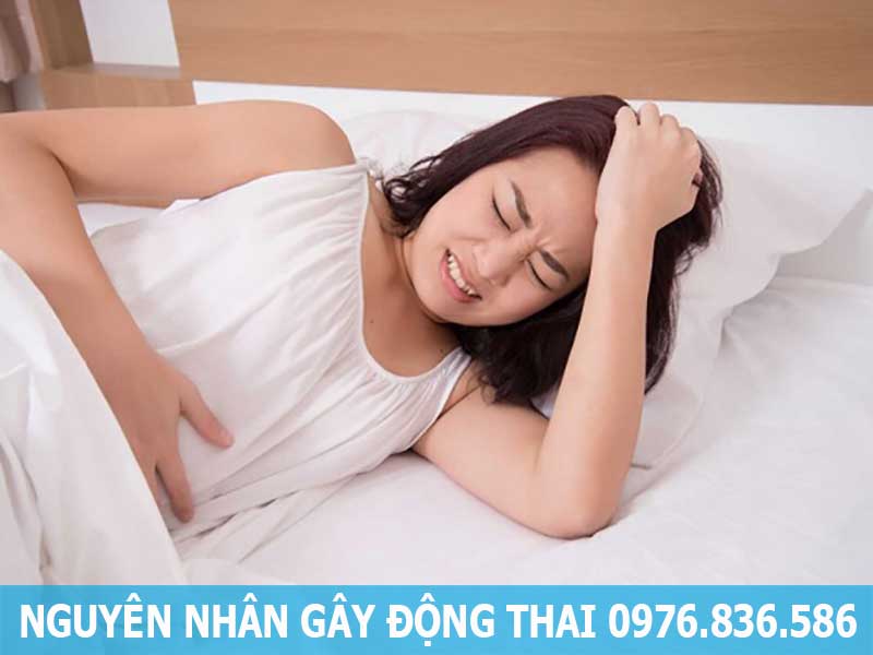 nguyên nhân gây động thai