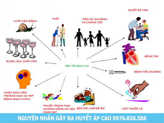 Nguyên nhân và hậu quả của bệnh huyết áp cao