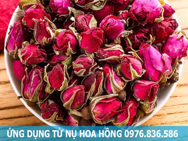 ứng dụng từ nụ hoa hồng