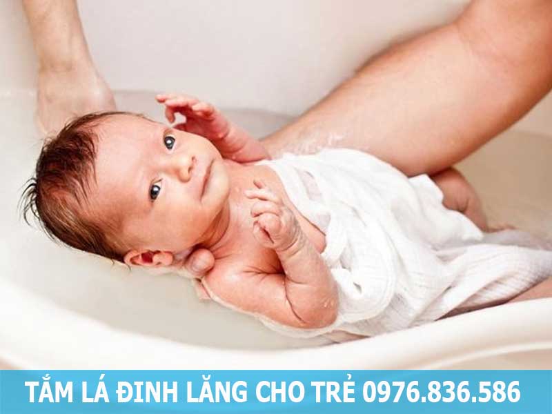 tắm lá đinh lăng cho trẻ