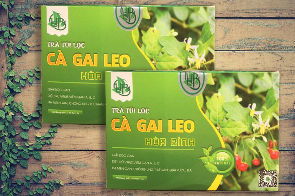 vị thuốc cây cà gai leo