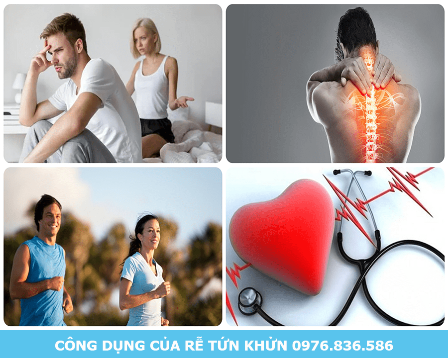 Công dụng của rễ tứn khửn