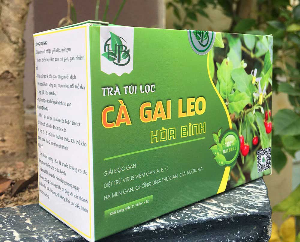 địa chỉ bán trà túi lọc cà  gai leo ở Bạc Liêu