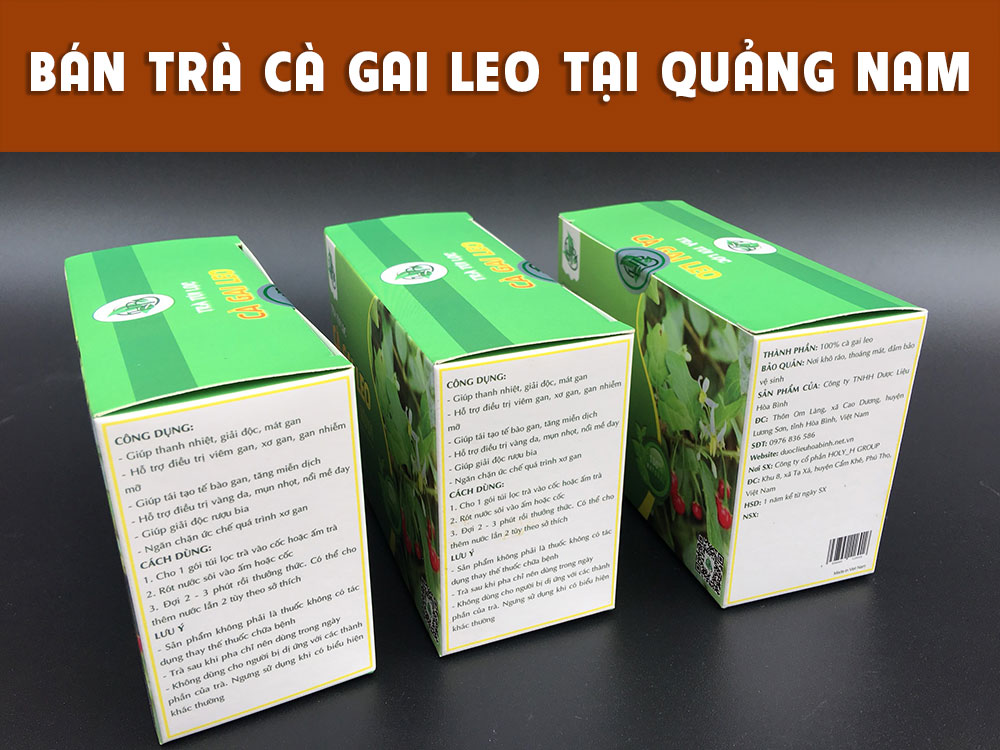 Công ty bán trà túi lọc cà gai leo tại Quảng Nam 1