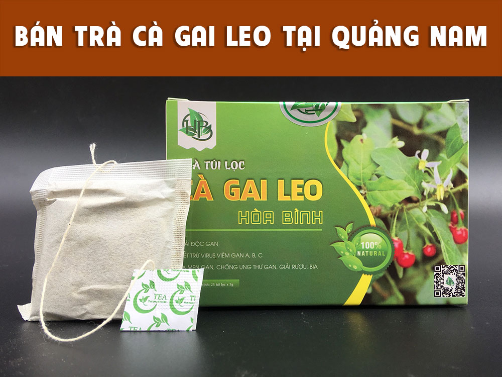 Công ty bán trà túi lọc cà gai leo tại Quảng Nam 3