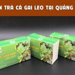 Bán trà túi lọc cà gai leo tại Quảng Trị hỗ trợ chữa men gan cao