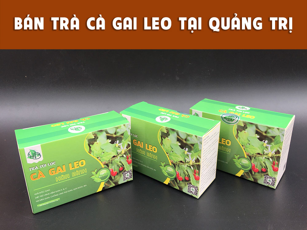 Bán trà túi lọc cà gai leo tại Quảng Trị 1