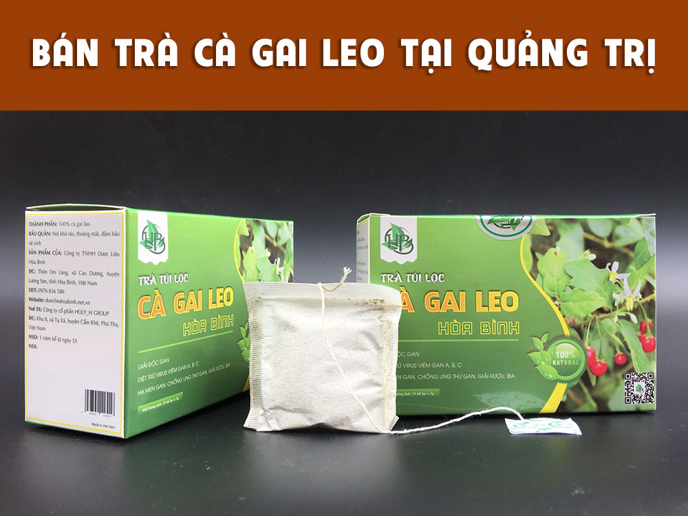 Bán trà túi lọc cà gai leo tại Quảng Trị 2