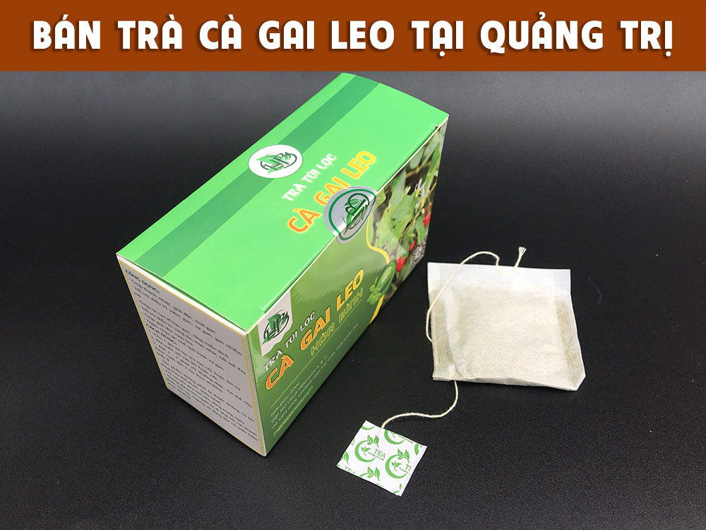 Bán trà túi lọc cà gai leo tại Quảng Trị 3