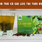 Giá bán trà túi lọc cà gai leo tại Thái Bình