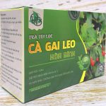 Mua sản phẩm trà túi lọc cà gai leo tại Hà Nội