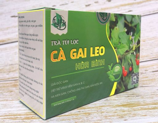 địa chỉ mua trà túi lọc cà gai leo