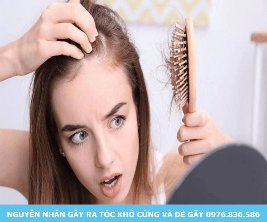 Nguyên nhân gây ra tóc khô cứng và dễ gãy