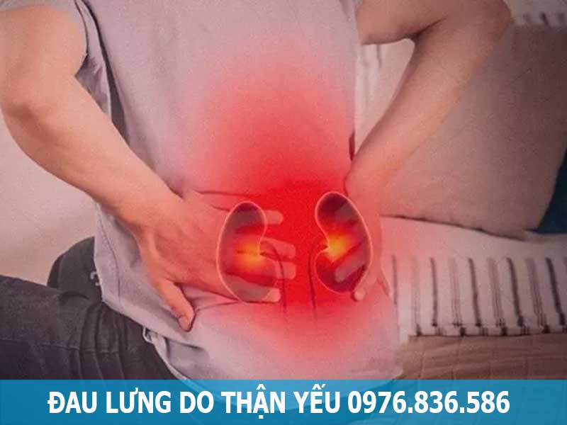 đau lưng do thận yếu