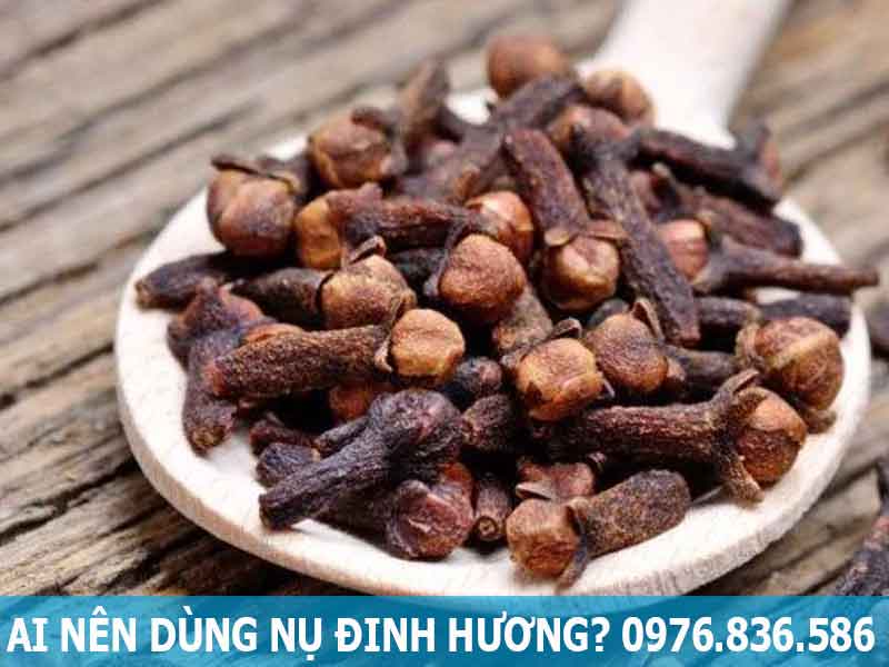 ai nên dùng nụ đinh hương