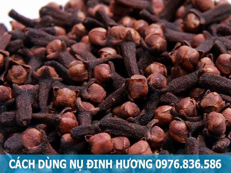 cách dùng nụ đinh hương