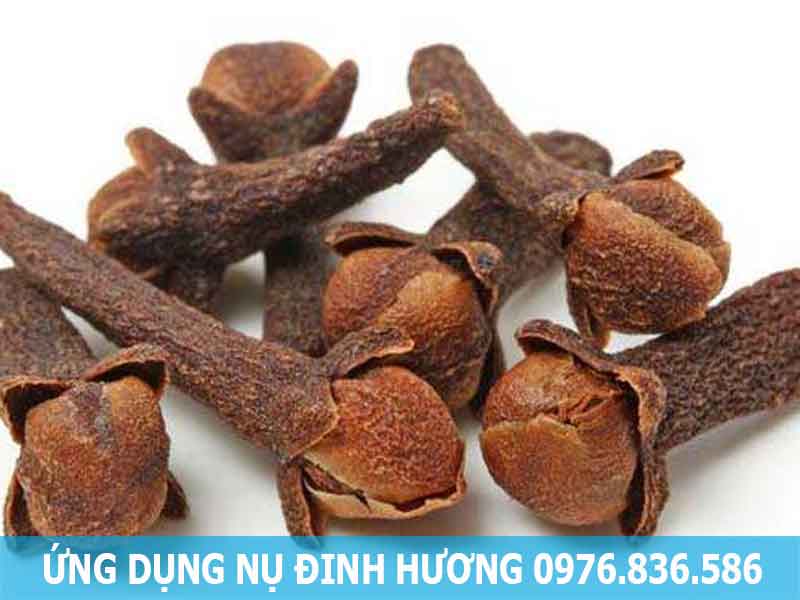 ứng dụng nụ đinh hương