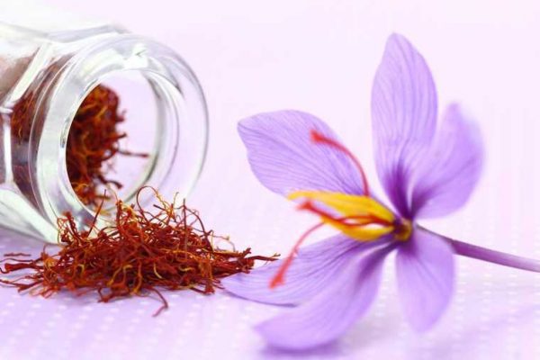 kinh nghiệm sử dụng sản phẩm saffron