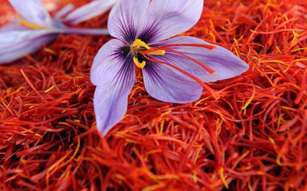 Thành phần và tác dụng của saffron