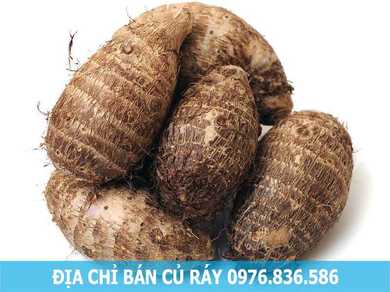 địa chỉ bán củ ráy chất lượng cao