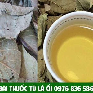 Bài thuốc từ lá ổi