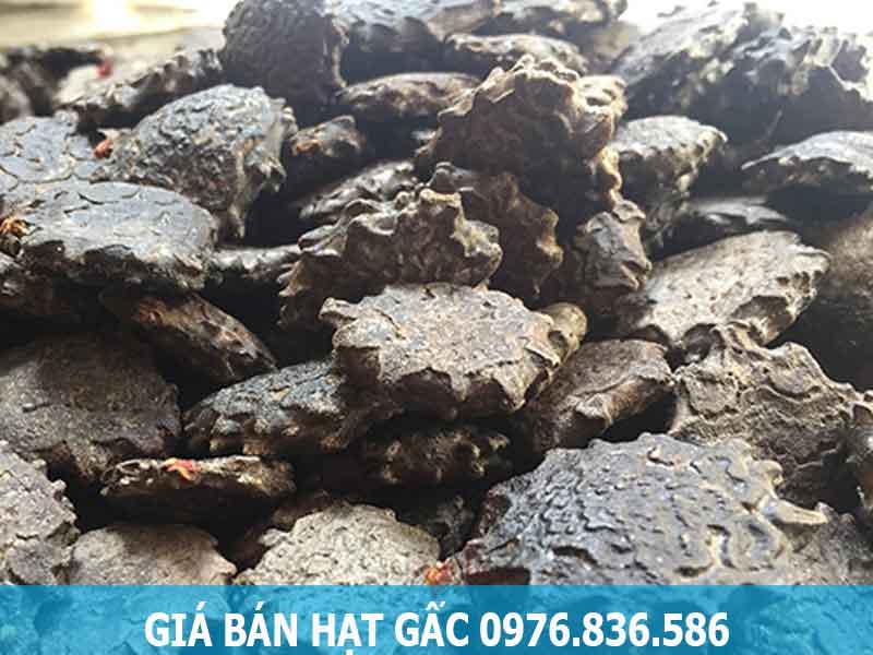 giá bán hạt gấc