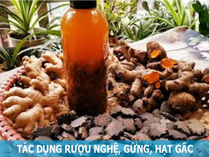 tác dụng của rượu nghệ gừng hạt gấc