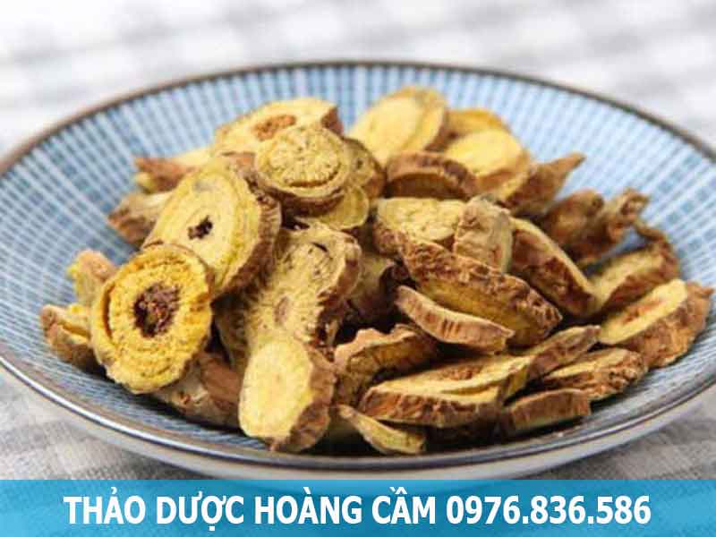 thảo dược hoàng cầm