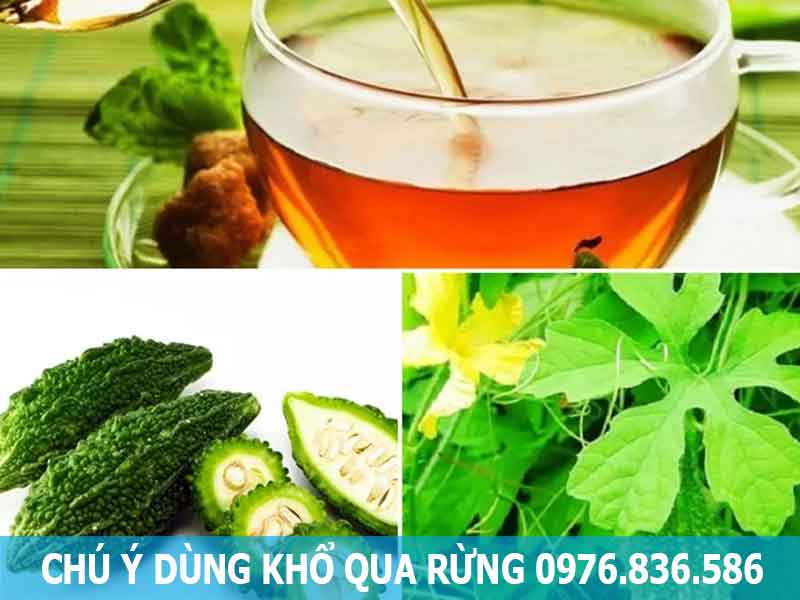 chú ý khi sử dụng khổ qua rừng